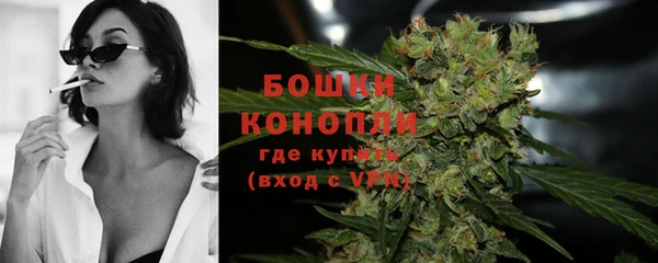 круглые Осинники