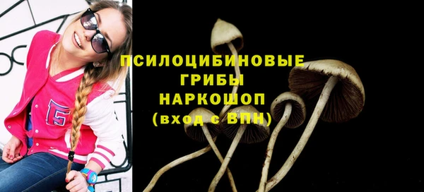 круглые Осинники
