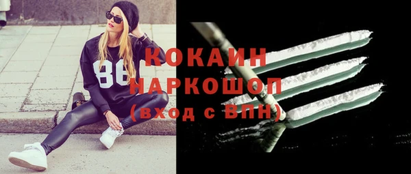 гашик Осташков