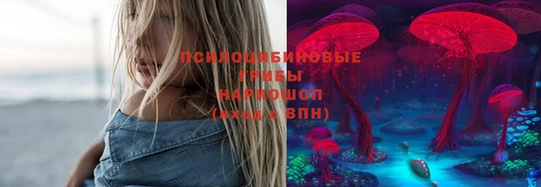 гашик Осташков