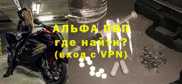 гашик Осташков