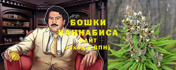 гашик Осташков