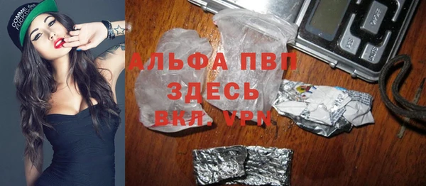 гашик Осташков