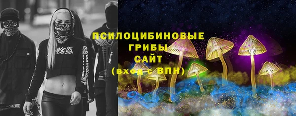 круглые Осинники