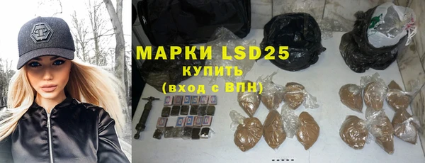 ПСИЛОЦИБИНОВЫЕ ГРИБЫ Жердевка
