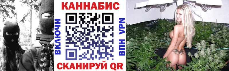 где купить наркотик  ссылка на мегу рабочий сайт  Бошки Шишки Ganja  Сокол 
